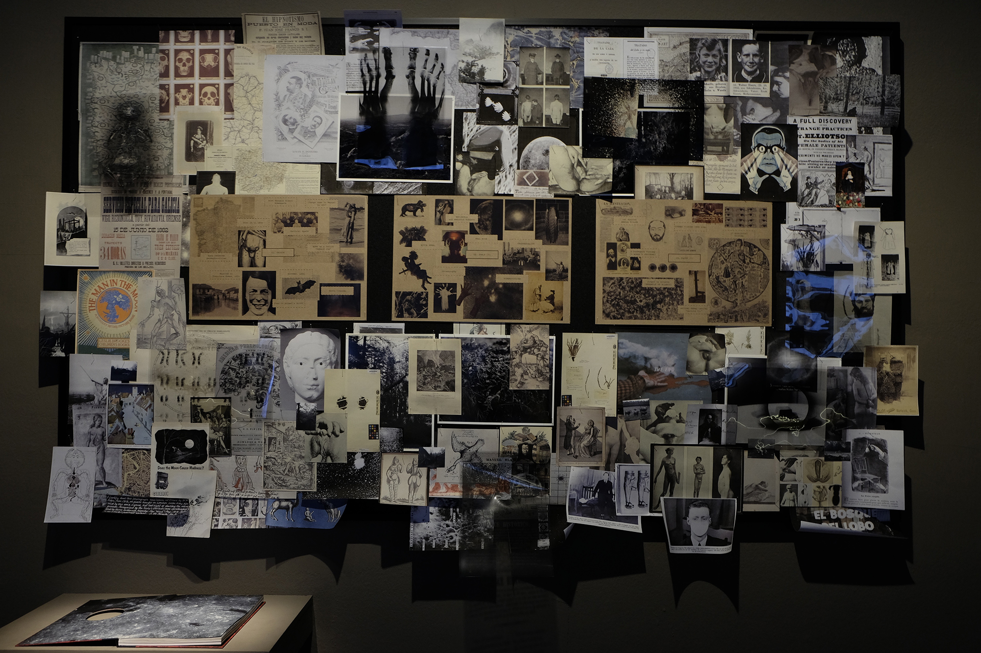 Symposium — Photography and the Museum: Contradictory Histories and Contemporary Perspectives.