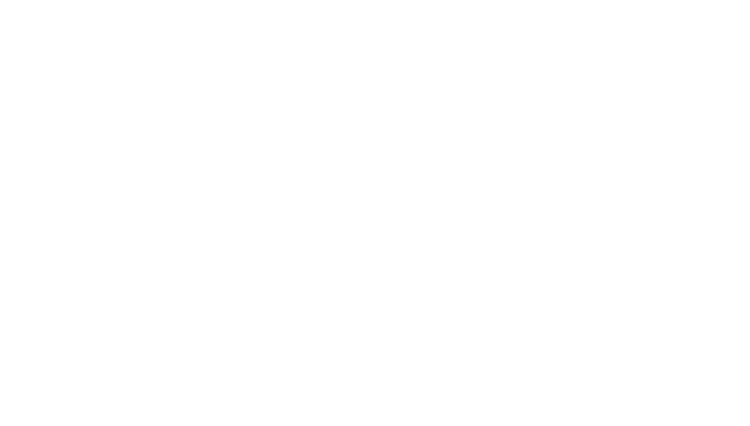 University Ulster